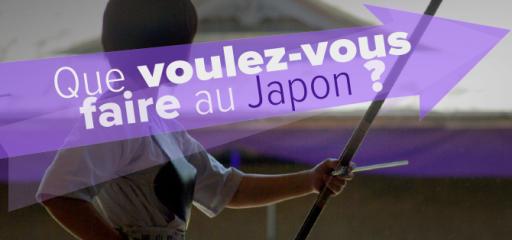 que voulez vous faire au japon